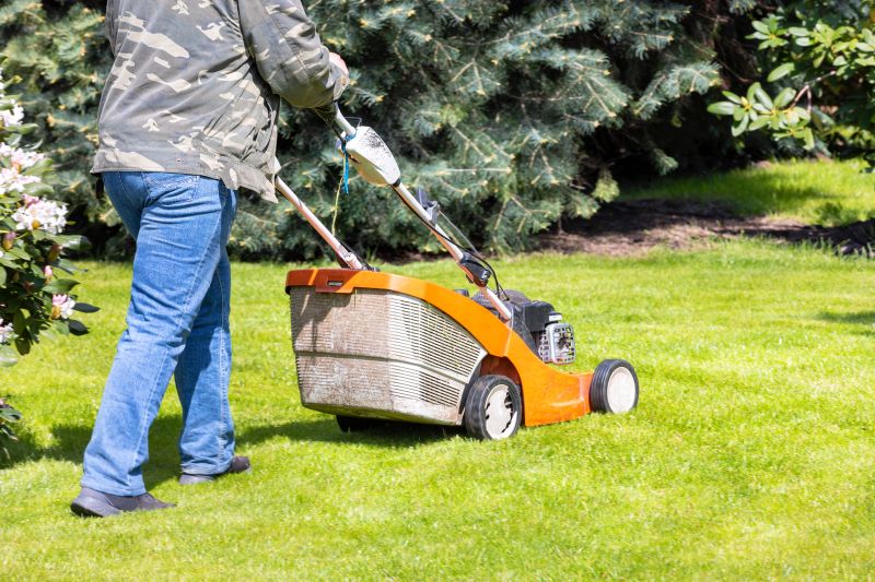 Seasonal Lawn Care