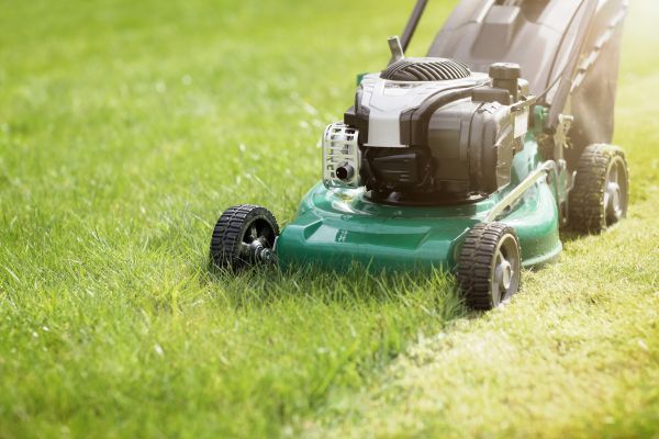 Cost of Yard Cutting in Brownsburg