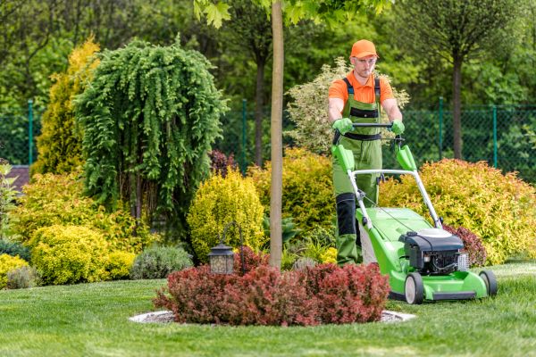 Cost of Yard Service in Brownsburg