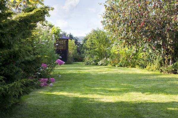 Cost of Yard Upkeep Service in Brownsburg