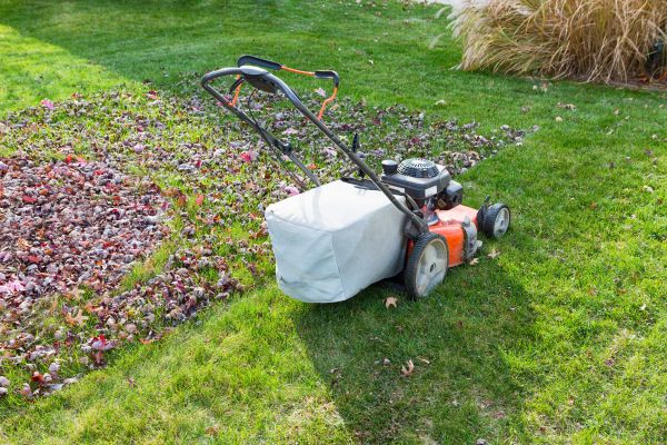 Cost of Seasonal Lawn Care in Brownsburg