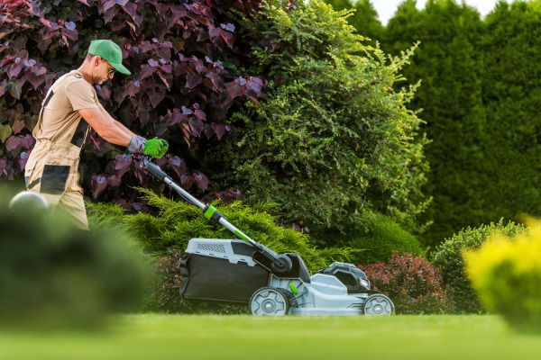 Cost of Lawn Management in Brownsburg