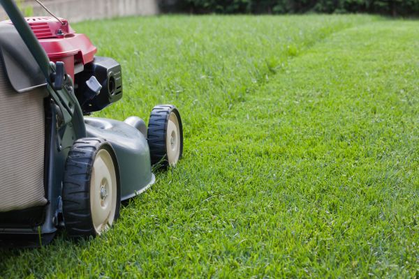 Cost of Summer Lawn Care in Brownsburg