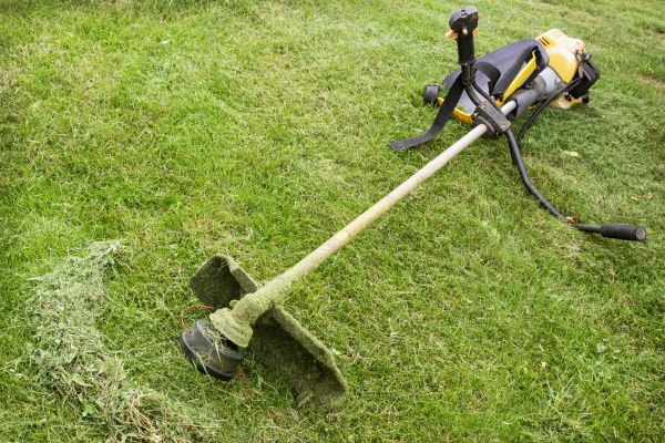 Cost of Hillside Weed Whacking in Brownsburg