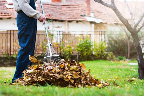Cost of Routine Lawn Maintenance in Brownsburg