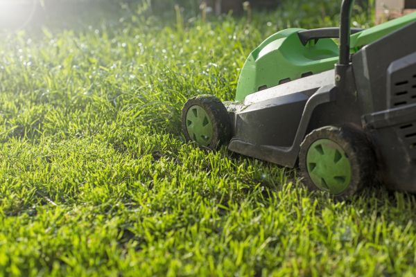 Cost of Lot Mowing in Brownsburg