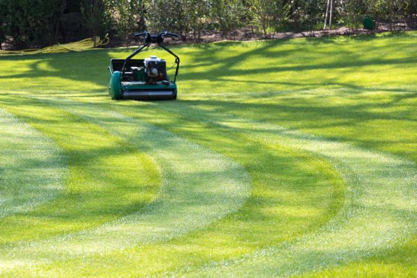 Business Lawn Mowing in Brownsburg