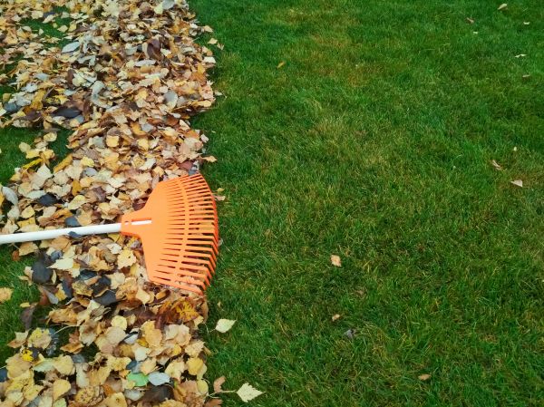 Fall Lawn Care in Brownsburg